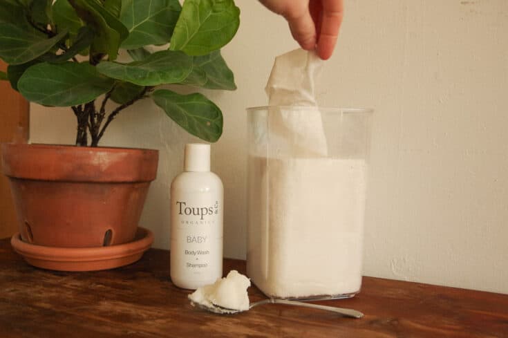 Picture of hand pulling out homemade baby wipe from container next to coconut oil, soap and plant