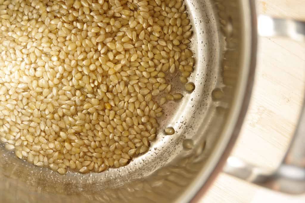 Picture of popcorn kernels in a pot