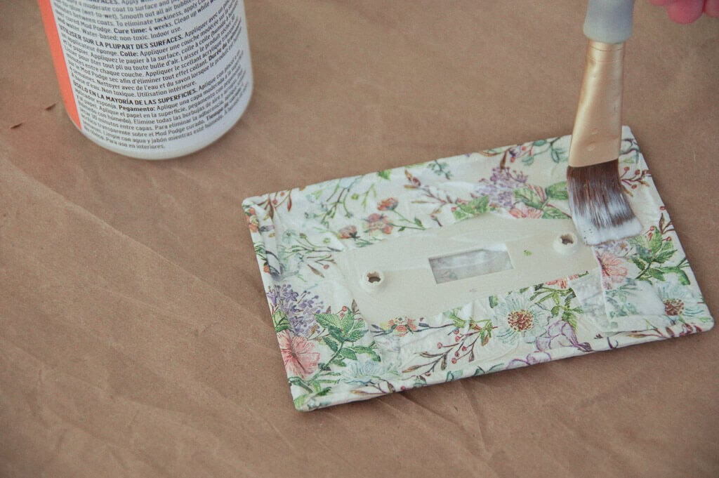 Paintbrush on back of light switch plate